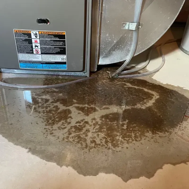 Appliance Leak Cleanup in Cartersville, GA